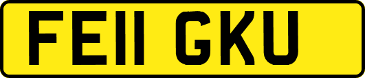 FE11GKU