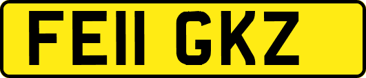 FE11GKZ