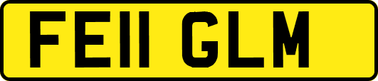 FE11GLM