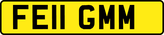 FE11GMM