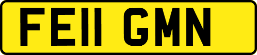 FE11GMN