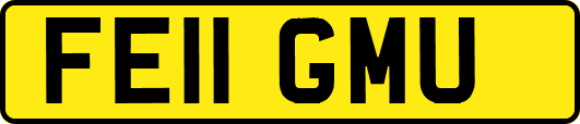 FE11GMU