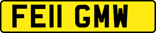 FE11GMW