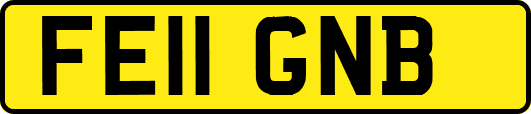 FE11GNB
