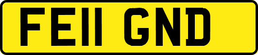 FE11GND