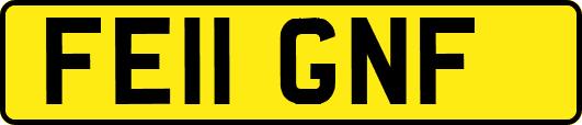 FE11GNF