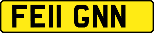 FE11GNN