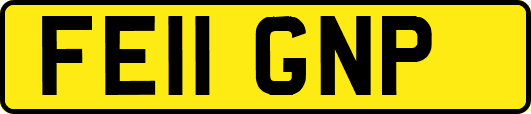 FE11GNP