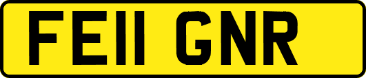 FE11GNR