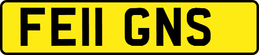 FE11GNS