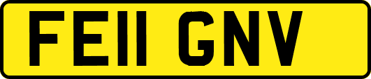 FE11GNV