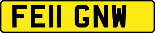 FE11GNW
