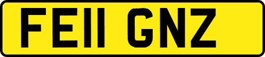 FE11GNZ