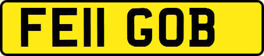FE11GOB
