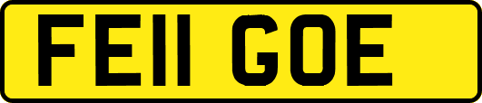 FE11GOE
