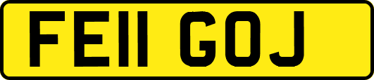 FE11GOJ