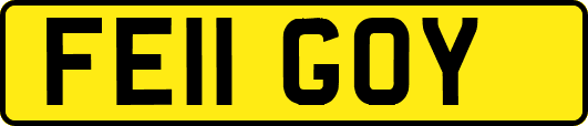 FE11GOY