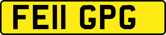 FE11GPG