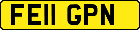 FE11GPN