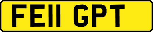 FE11GPT