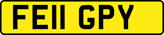 FE11GPY