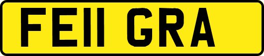 FE11GRA