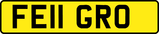 FE11GRO