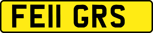 FE11GRS