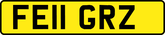 FE11GRZ