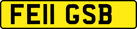 FE11GSB