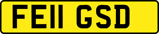 FE11GSD
