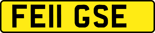 FE11GSE