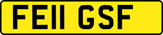 FE11GSF