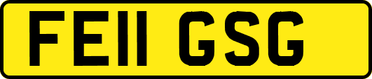 FE11GSG