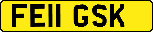 FE11GSK