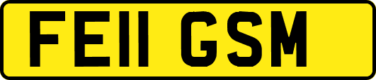 FE11GSM