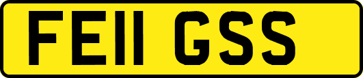 FE11GSS