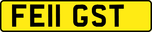 FE11GST