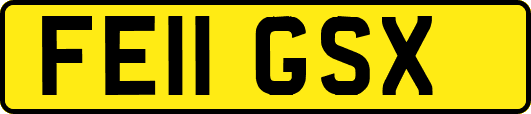 FE11GSX
