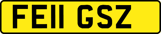FE11GSZ