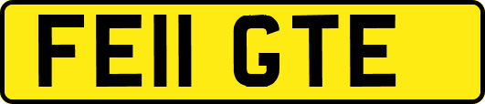 FE11GTE