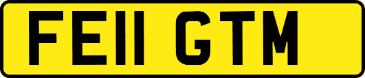 FE11GTM