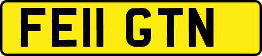FE11GTN