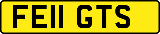 FE11GTS