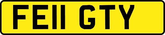 FE11GTY