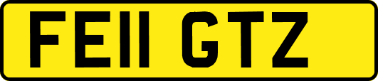 FE11GTZ
