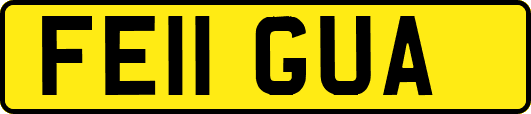 FE11GUA