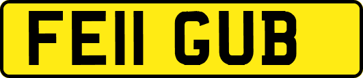 FE11GUB