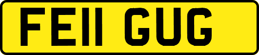FE11GUG