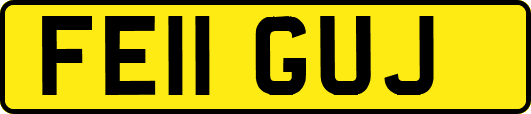 FE11GUJ